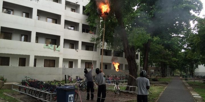 Pest control Schedule March 2018