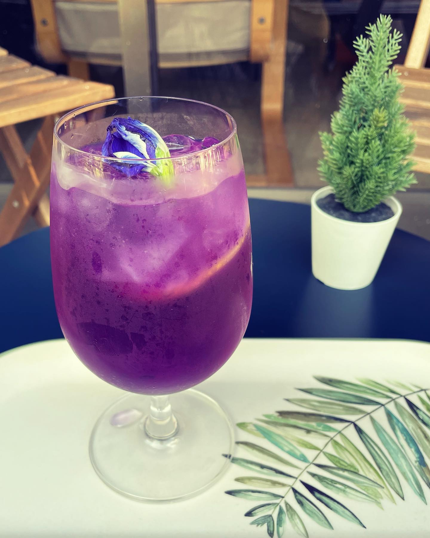 258766217_368911638342325_2862531244486992955_n