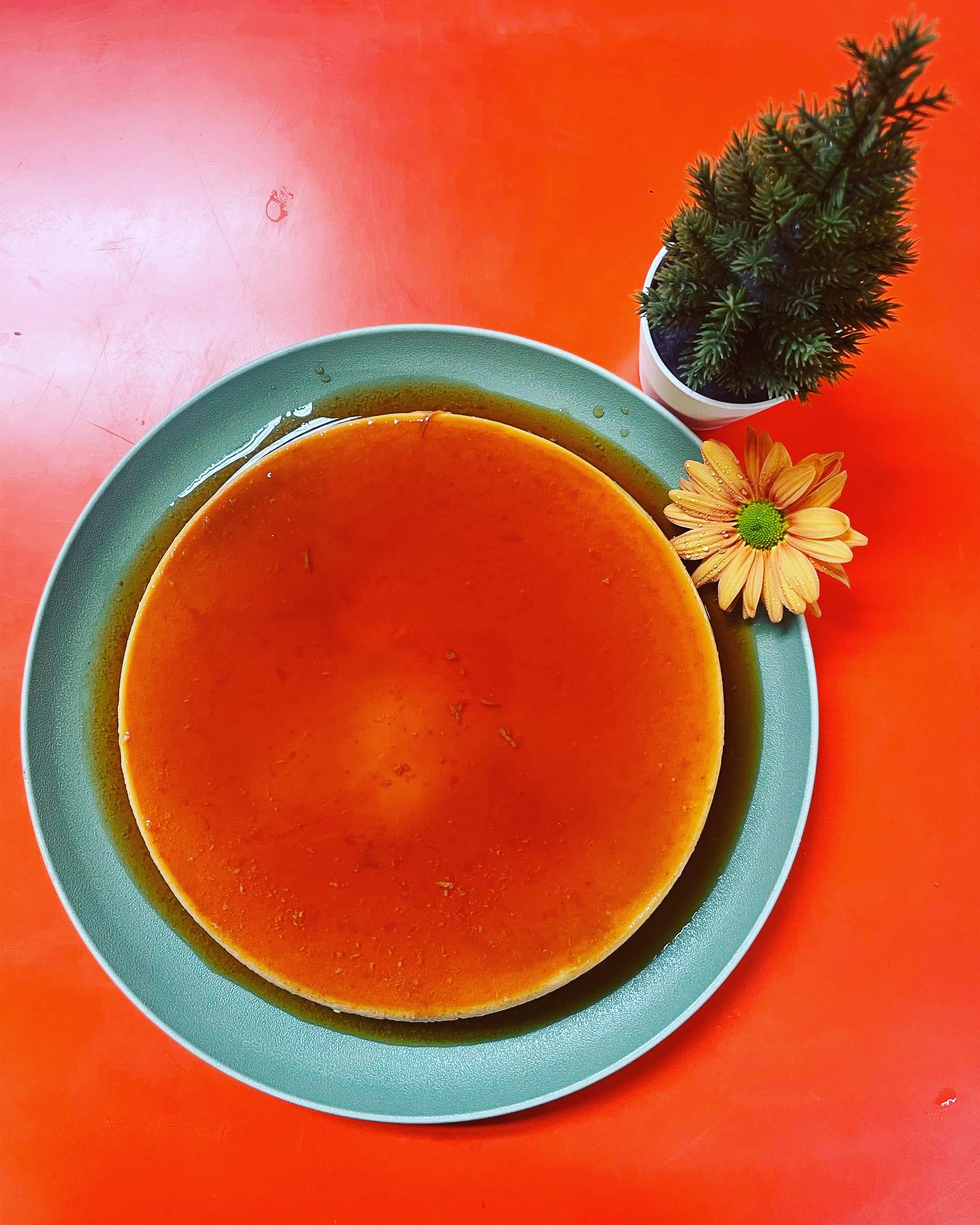 375297820_814053934056163_3019170230476758922_n