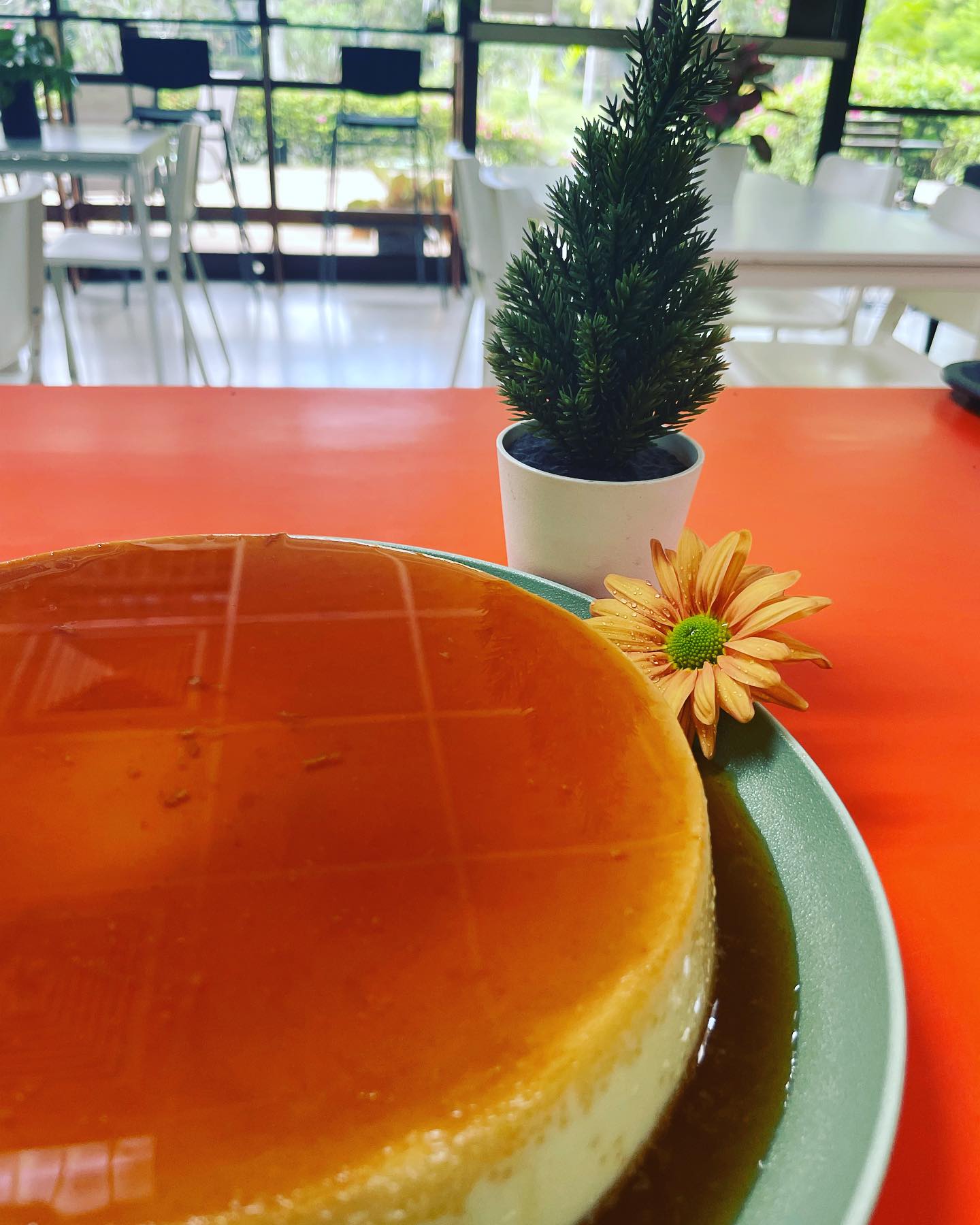 375306971_814053937389496_5680634407072726231_n