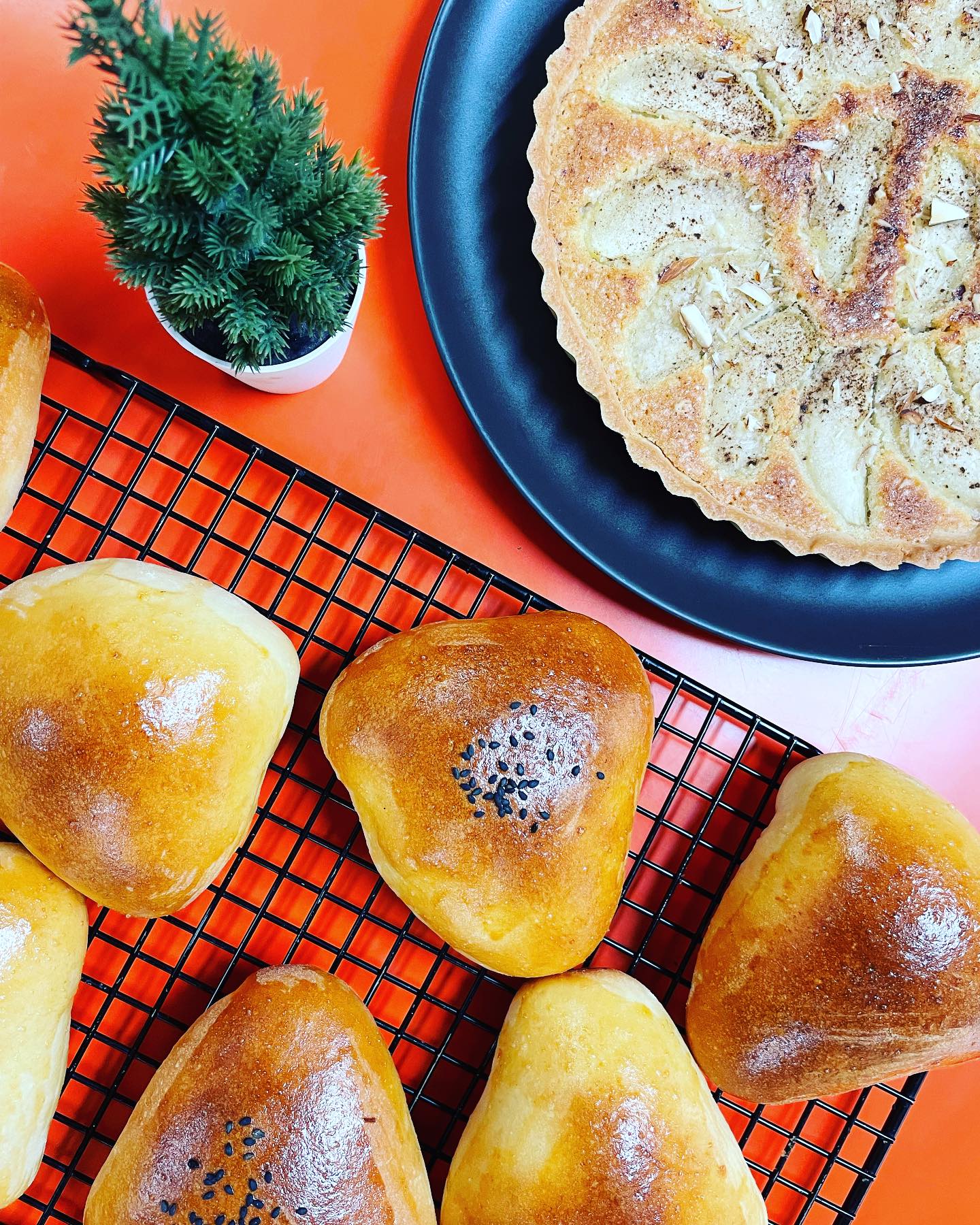 377879018_818940273567529_6969805930871980026_n