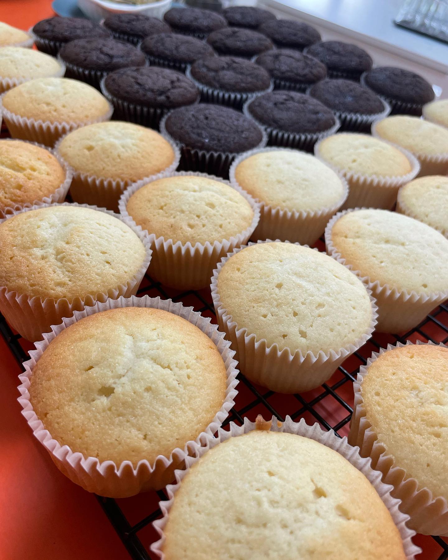 381163914_826110026183887_6140843791916503962_n