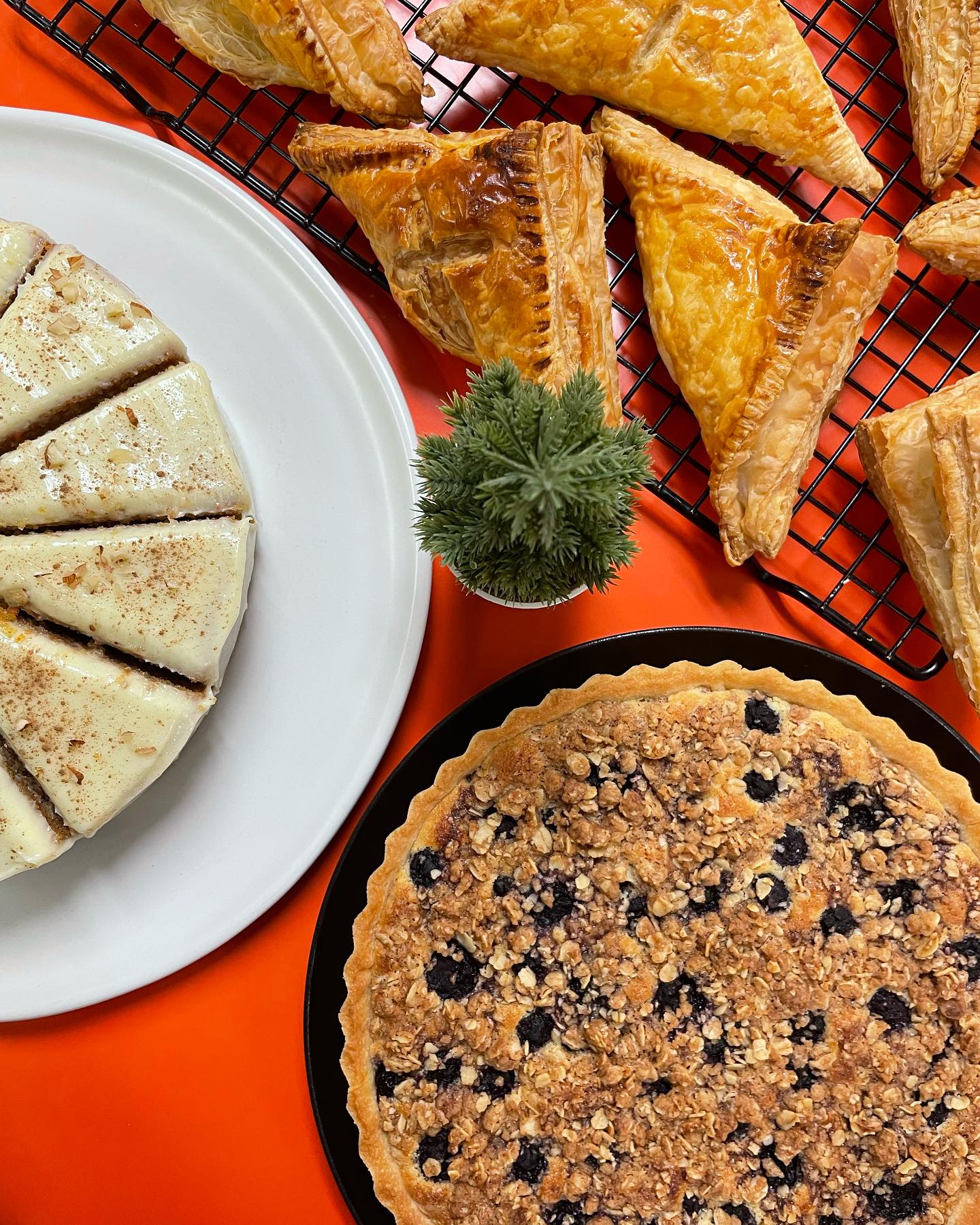 387206200_17984461178453390_5934548539738422106_n