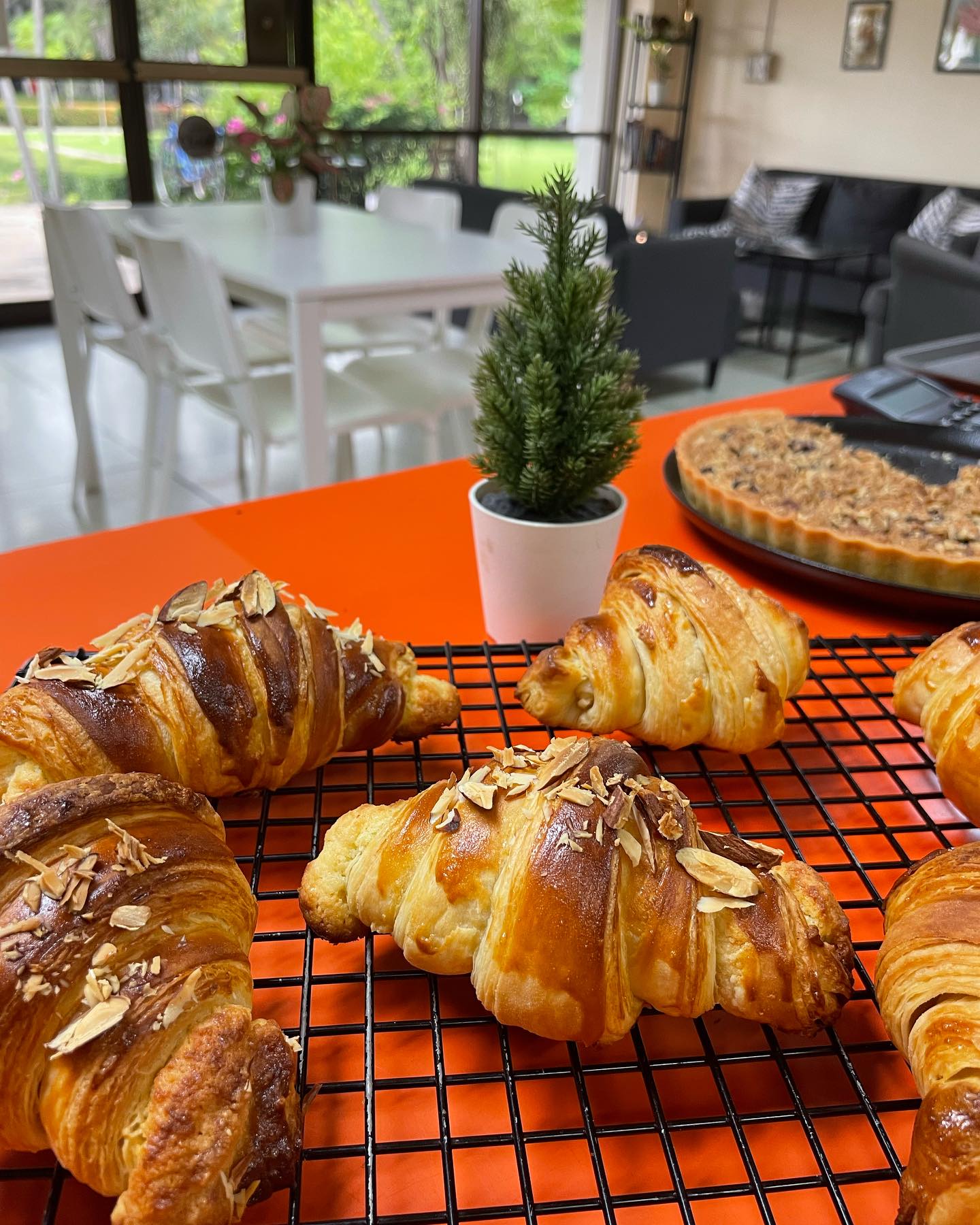 391395071_17984461169453390_3307252728161958432_n