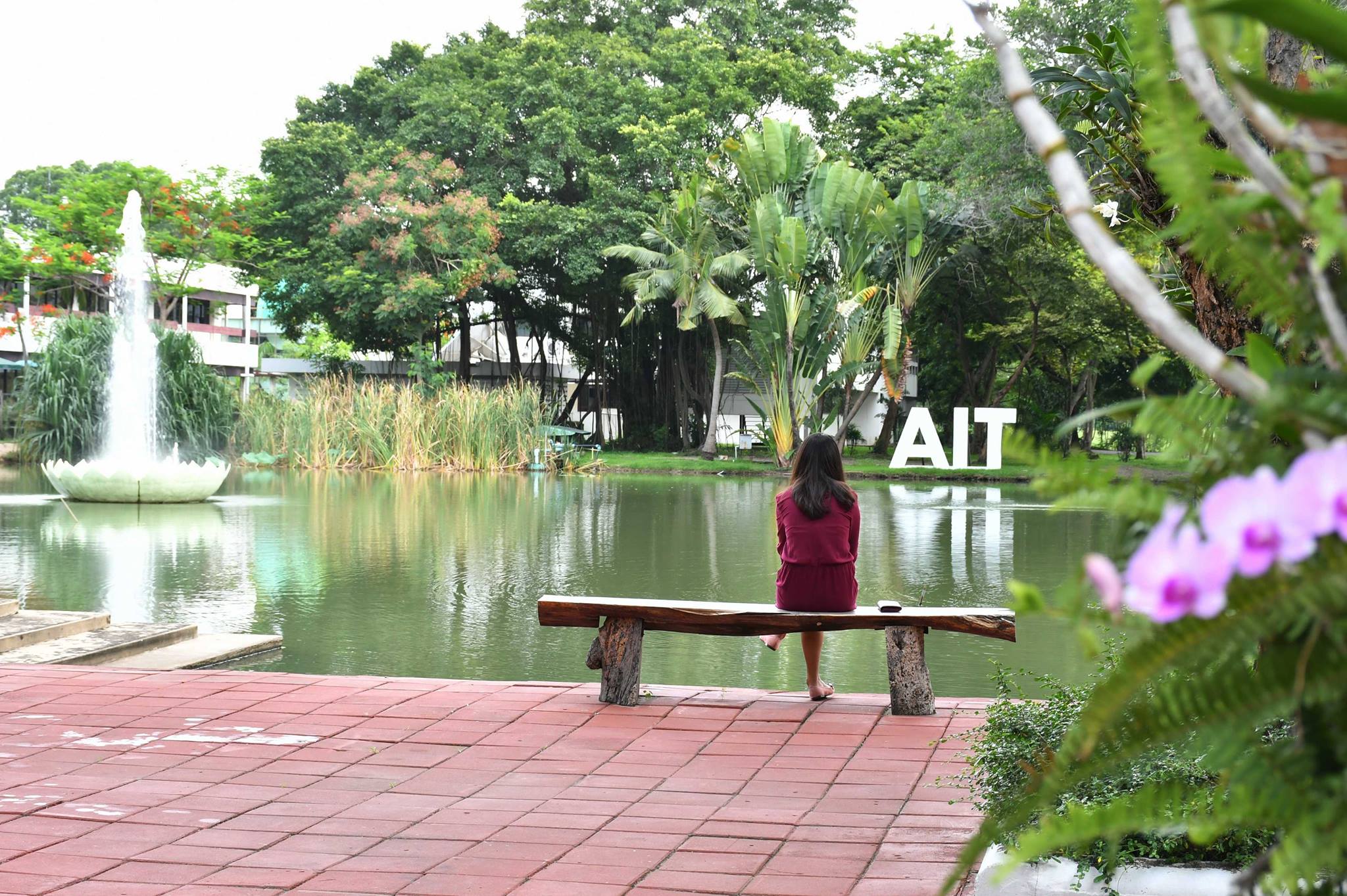 lotus lake